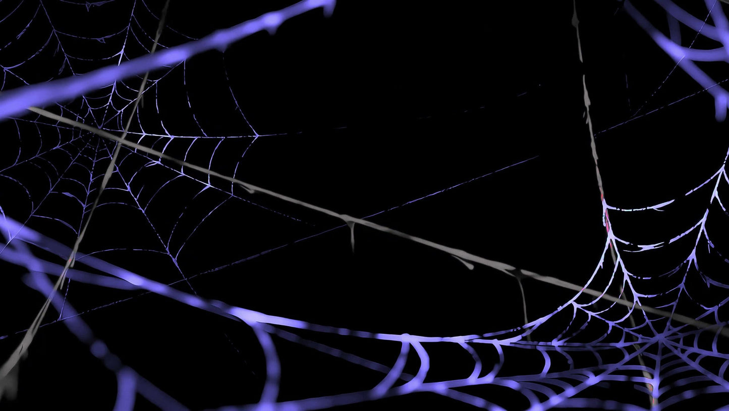 Gothic Spiderweb Heartseeker – Animated VTuber Background Set | 1440p QHD Loop Videos | Gothic / Dark / Spooky
